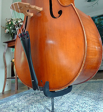Bass